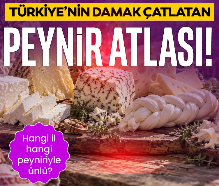 Türkiye'nin peynir atlası