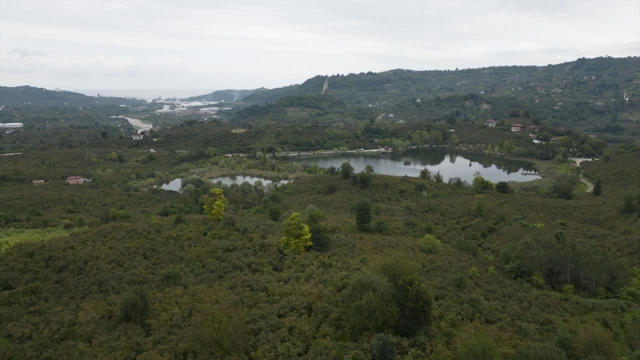Ordu’nun Fatsa ilçesinde bulunan Gaga Gölü