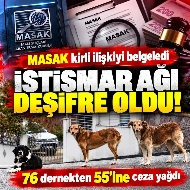 Türkiye'yi soyan soyana,Hiçbir dönemde bu kadar yoğun bombardıman soygun görülmedi