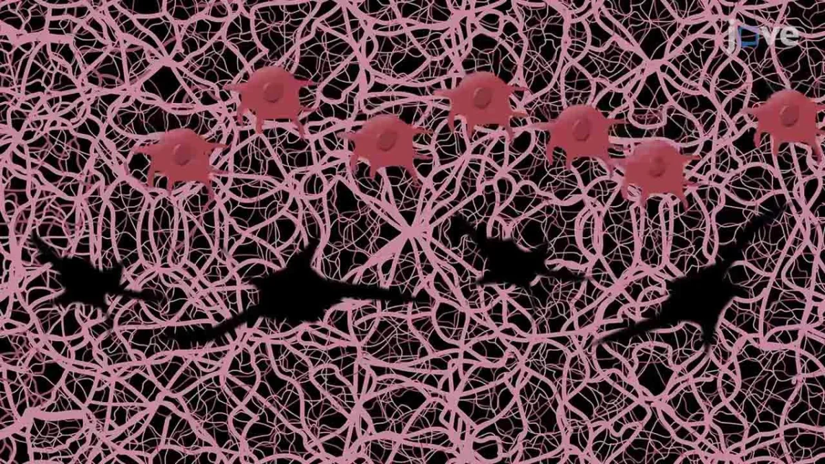 Nobel ödüllü bilim insanı Aziz Sancar ve ekibi