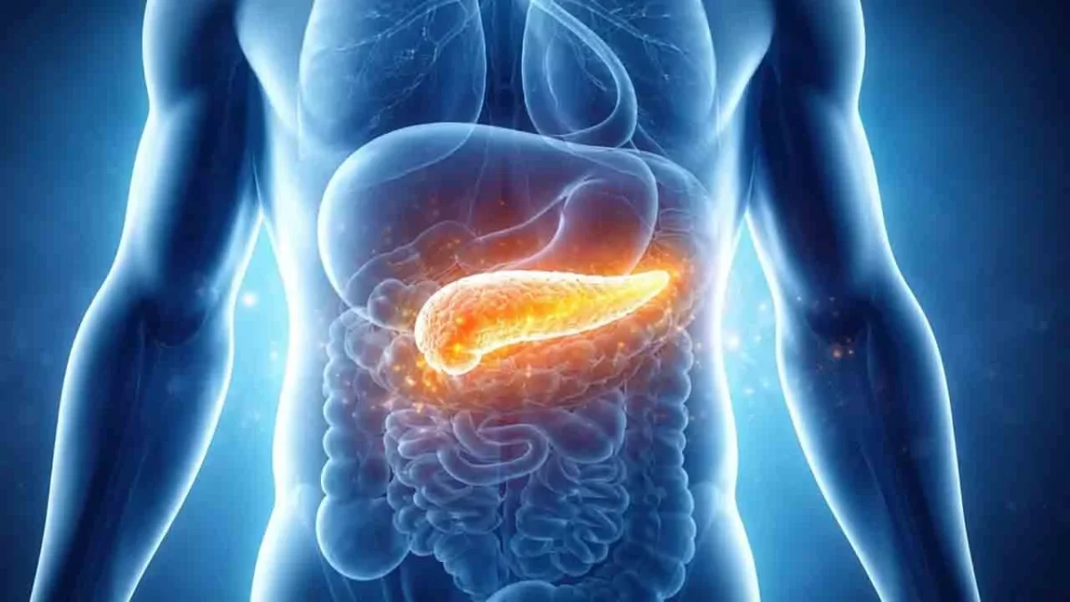 Pankreas kanseri, tedavisi en zor kanser türlerinden biri olmaya devam ediyor