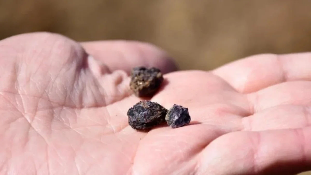 Dünyada talebi hızla yükselen nadir toprak elementleri açısından