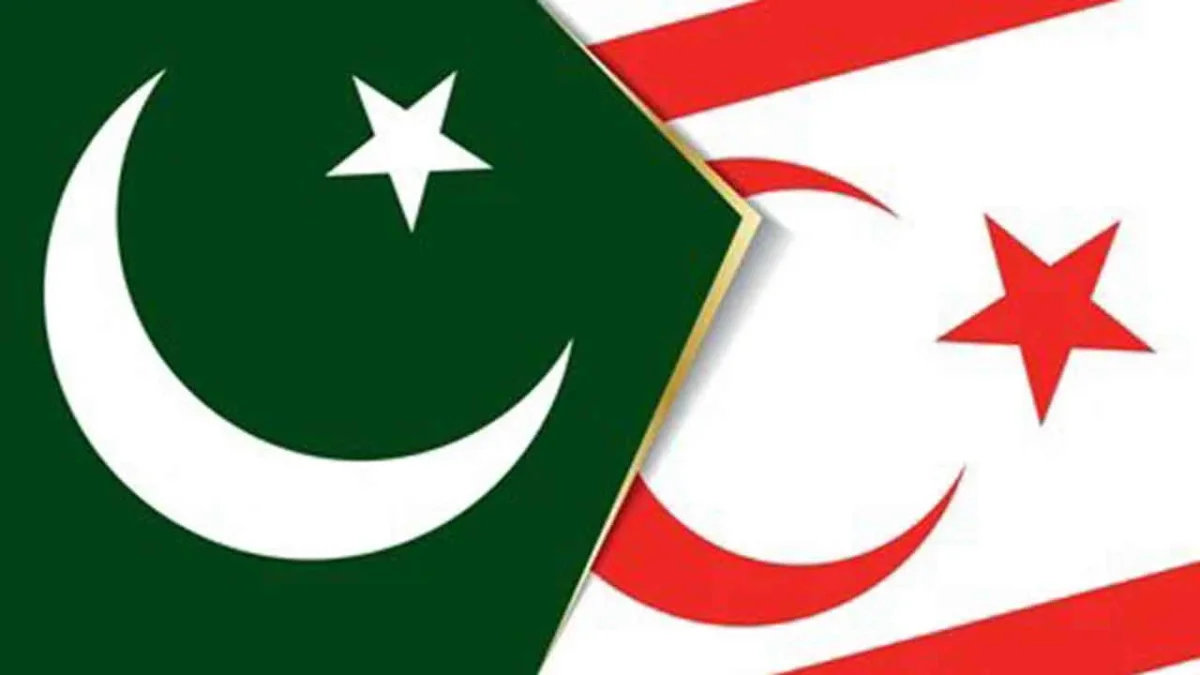 Birleşmiş Milletler Güvenlik Konseyi’nin geçici üyeleri arasında yer alan Pakistan,