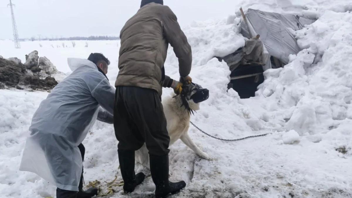 Hakkari’nin Yüksekova ilçesine bağlı Kadıköy köyünde