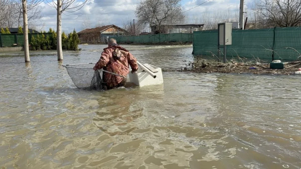 Meriç Nehri'nin taşmasının ardından ilginç görüntüler ortaya çıktı.