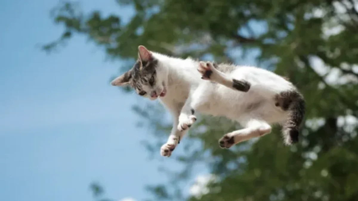 Yüzyılı aşkın süredir bilim dünyasını meşgul eden o konu netliğe kavuştu