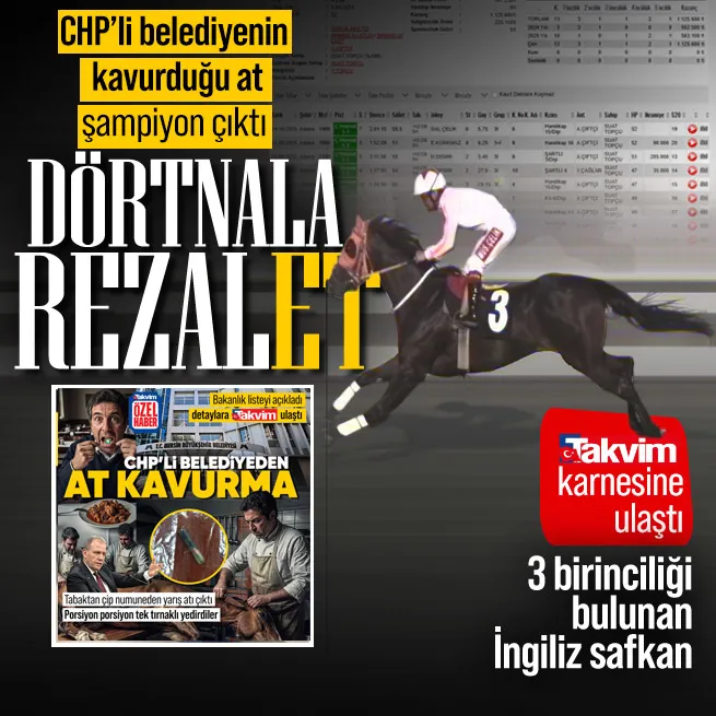 KESİLEN AT İNGİLİZ ŞAMPİYON SMART LACTH ÇIKTI