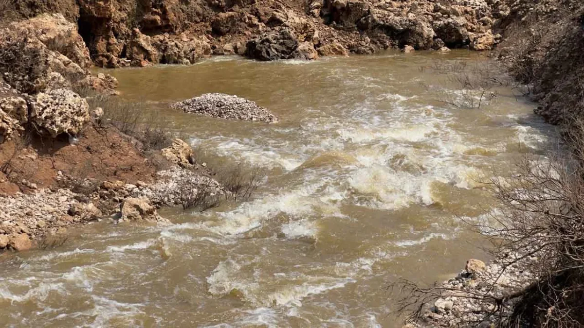 Şanlıurfa'nın Ceylanpınar