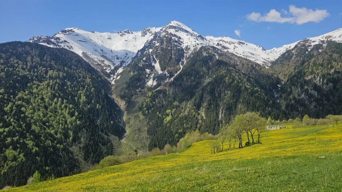 Rize'nin &Ccedil;amlıhemşin il&ccedil;esi