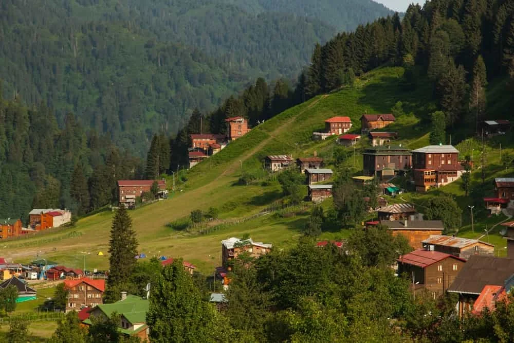 RİZE  ( 53 )