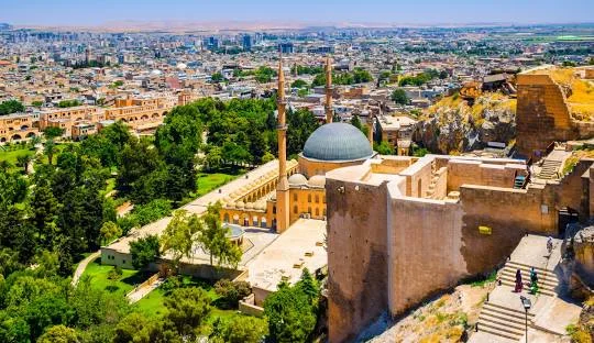 Şanlıurfa  ( 63 )