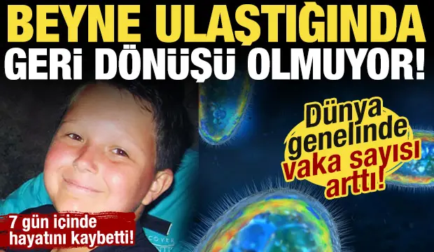 D&uuml;nyada hızla yayılıyor