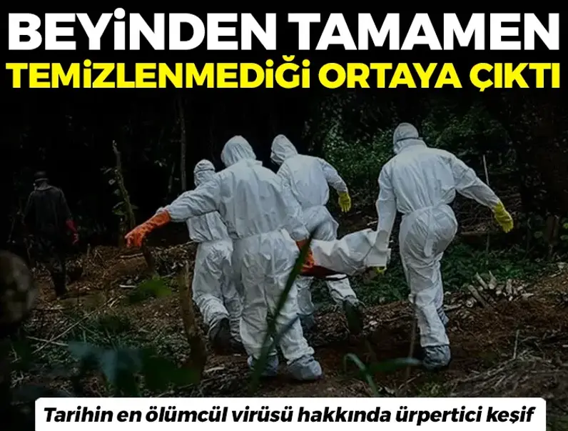 Tarihin en &ouml;l&uuml;mc&uuml;l vir&uuml;s&uuml; hakkında &uuml;rpertici keşif