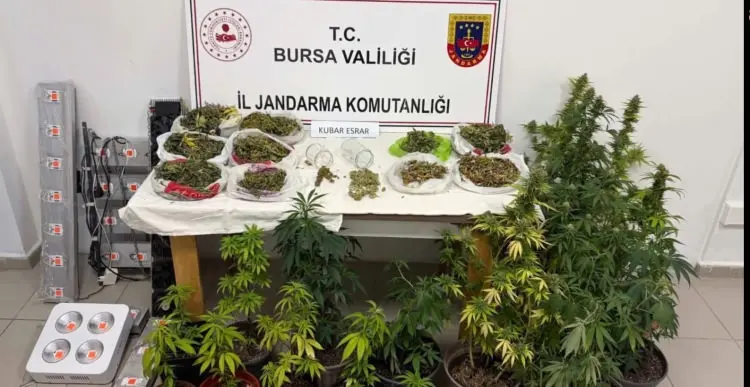 Jandarma Genel Komutanlığı Narkotik Su&ccedil;larla M&uuml;cadele Daire Başkanlığı