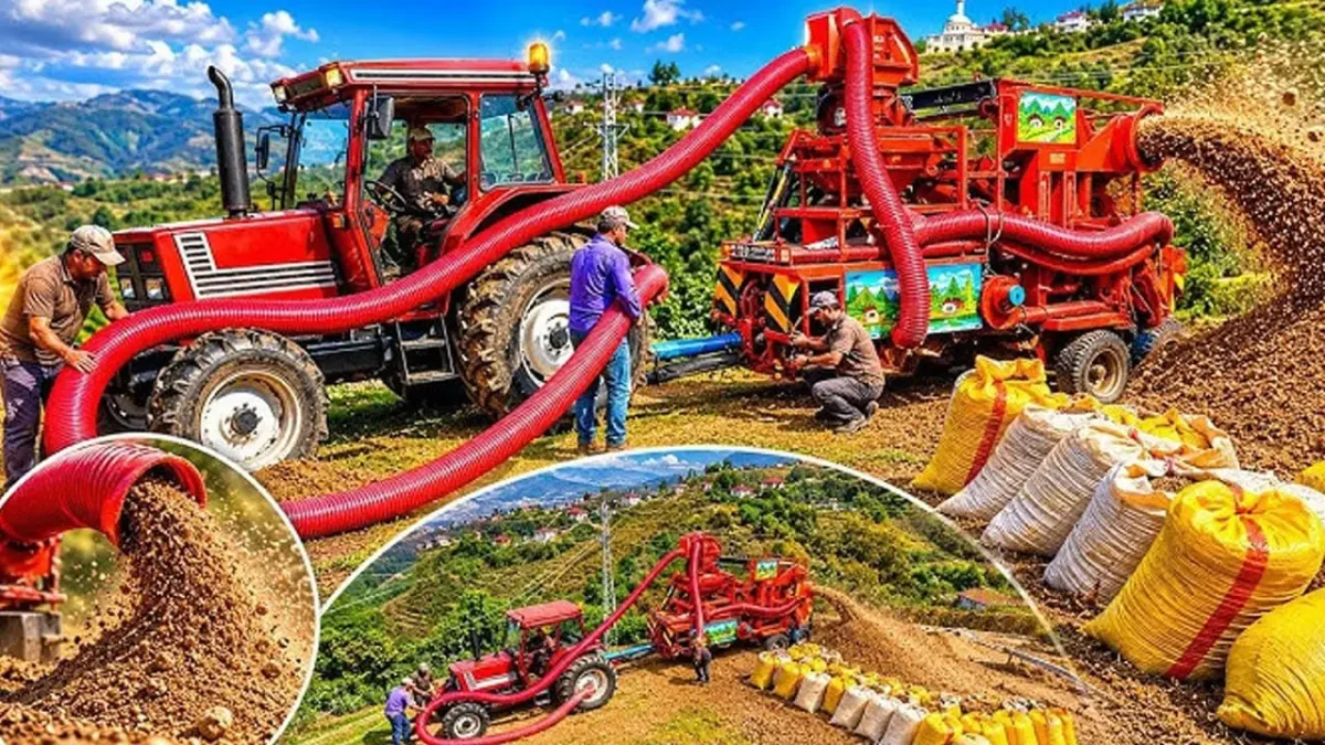 Ordu ve Giresun&rsquo;da fındık hasadı başladı